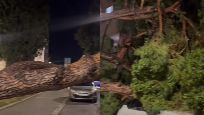 VIDEO: Silovito neurje v Istri povzročilo škodo: Drevo zmečkalo parkirane avtomobile