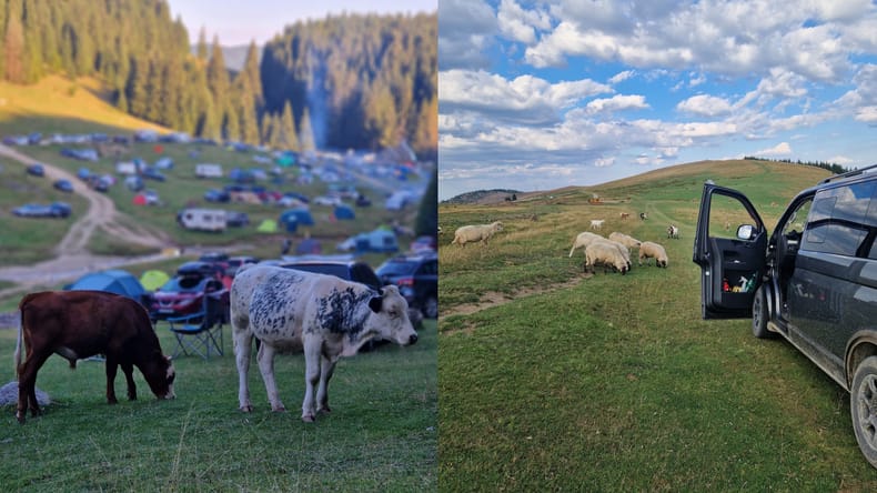 Iz Odrancev v romunsko divjino: več kot 30 posadk z nenavadnimi vozili gre na pot proti Karpatom