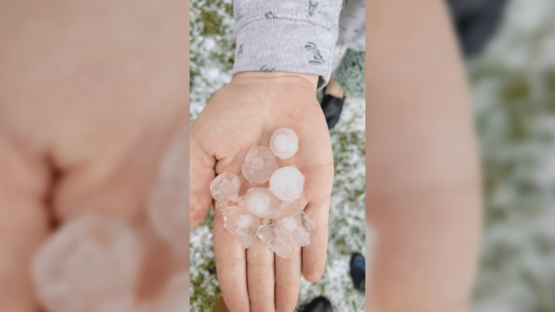 FOTO in VIDEO: Tri centimetre velika zrna toče klestila po vrtninah in poljščinah