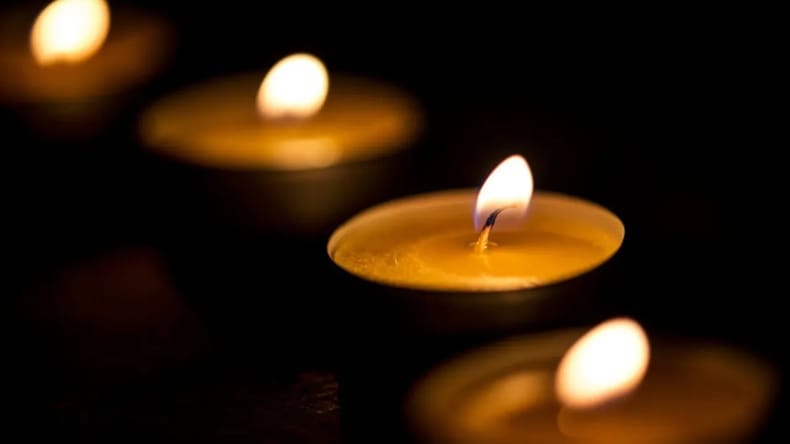 Tragedija v gozdu: Med podiranjem drevesa umrl 76-letnik