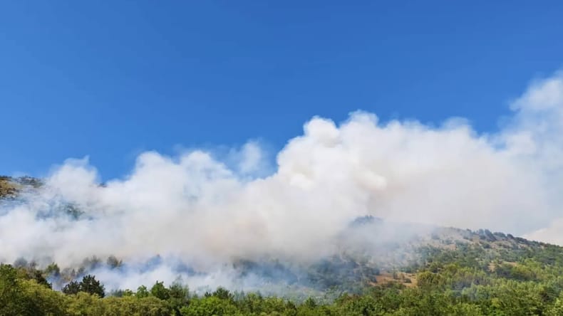 Na Krasu izbruhnil obsežen požar, posreduje okoli sto gasilcev