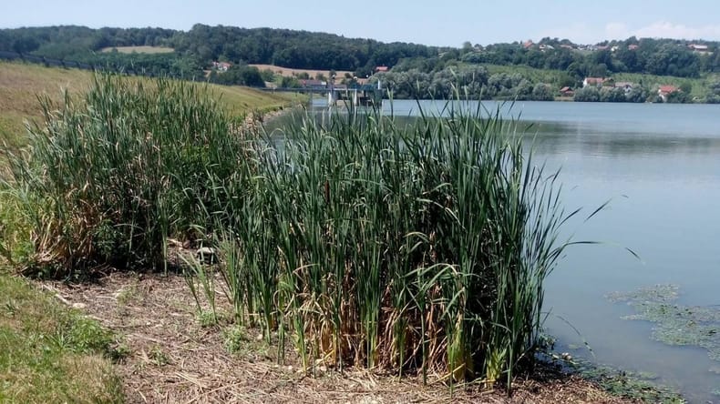 Ribiči, pozor: V Pomurju zaprli še več priljubljenih voda