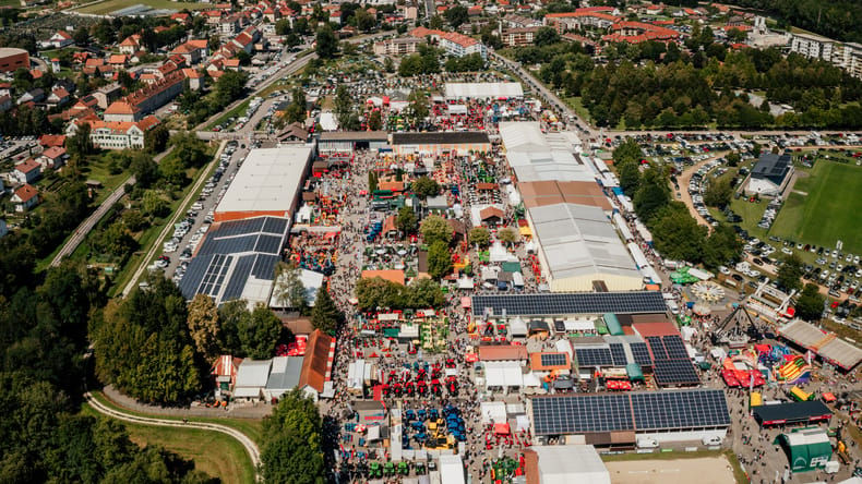 Pet dni, ki privabijo na tisoče obiskovalcev: Alžirski datlji, vrhunska vina in velikanski park mehanizacije