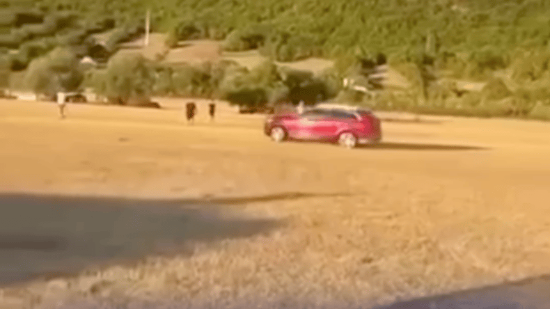 VIDEO: Grozljivka na konjskih dirkah, s terencem namenoma zapeljal med ljudi, več poškodovanih