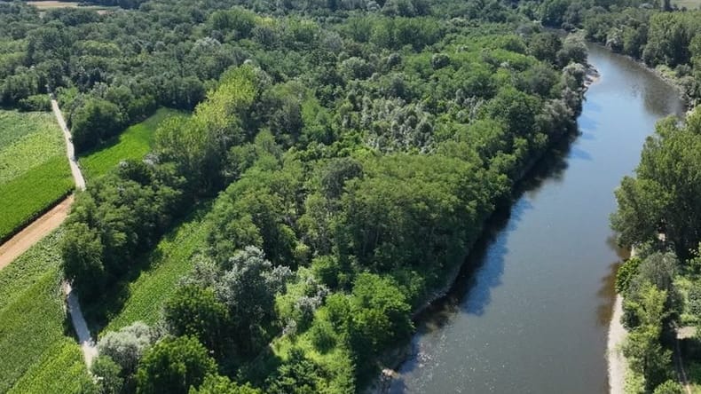Širitev struge Mure, več prostora tudi za rečne habitate