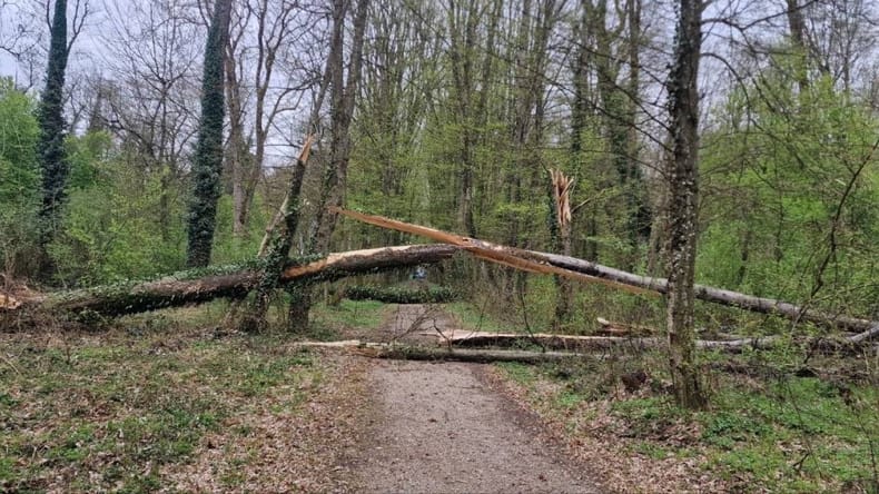 Avstrijci izdali najvišjo stopnjo nevarnosti: ;ožne supercelice, ogromna toča in celo tornado