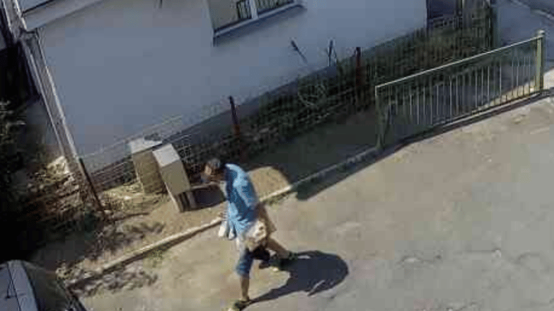 Lastnica po kraji registrskih tablic poziva k pomoči