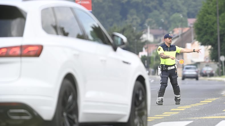 Prometni kaos na več odsekih, promet ovira tudi žival na cesti 