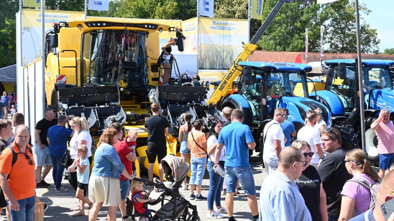 Konec avgusta dogodek, ki privabi na tisoče obiskovalcev: Vino Vinske kraljice, eksotični datlji in nagrajene dobrote