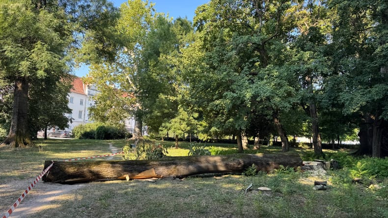 FOTO: soboški park