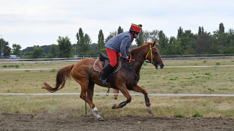 FOTO in VIDEO: Lendava v znamenju konj, jubilejni Pomurski galop privabil obiskovalce