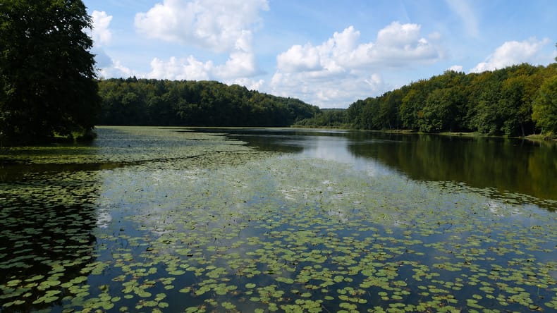 To jezero znova odprto za ribolov, ribiče pozivajo k odgovornemu ravnanju
