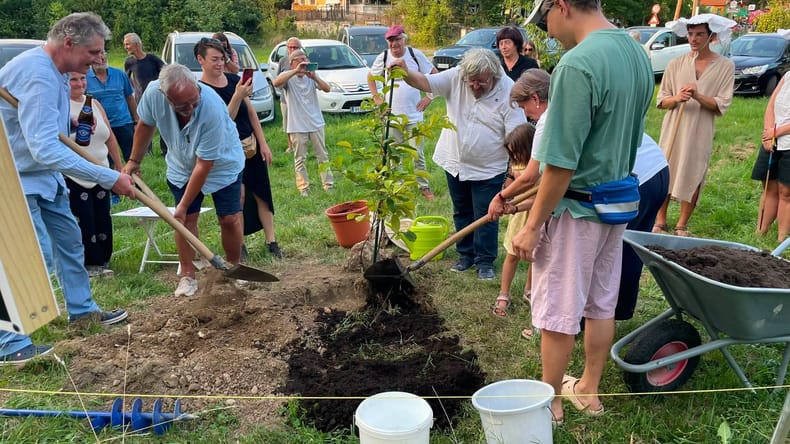 Posebno drevo bi lahko dobilo svoj prostor tudi v Petanjcih