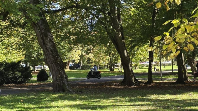 Kamere in zaklenjen park ponoči? Sobočanka razkrila, zakaj si vanj ne upa več
