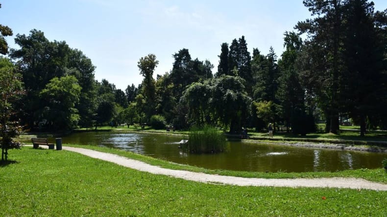 Mestni park bo dobil novo podobo, kaj pa ribnik? Anželj: »Sami si pogosto delamo škodo«