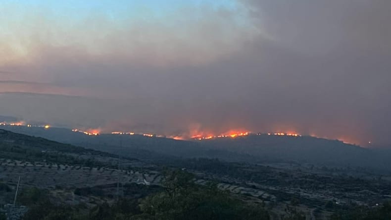 VIDEO: Hrvaški otok v primežu požara, ogenj zajel več kot 3000 hektarjev