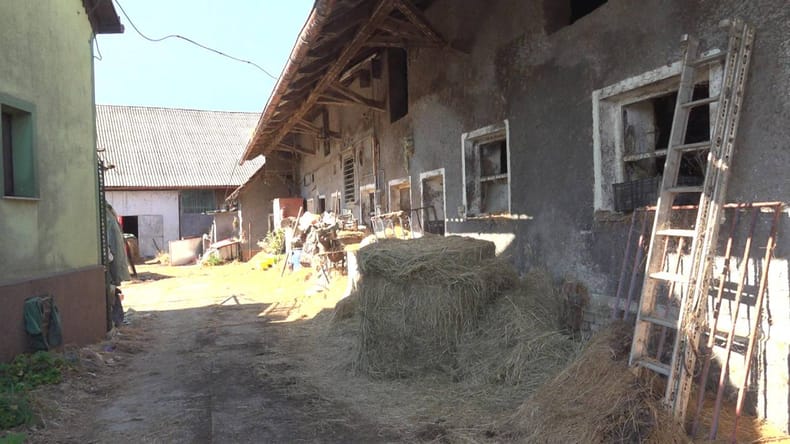 Trupla goved razpadla do kosti, Marjana Špura kazensko ovadili