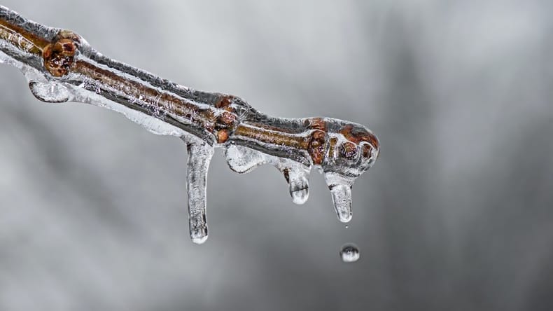 Pomurje čaka mrzlo jutro, termometri se bodo približali ničli