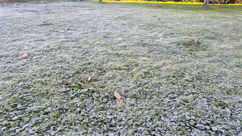 Prvo jesensko jutro prineslo minus: temperatura padla na -2,1 stopinje