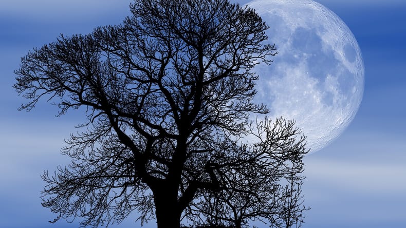 Strastna polna luna bo pretresla čustva, ta znamenja čaka neizbežen preobrat