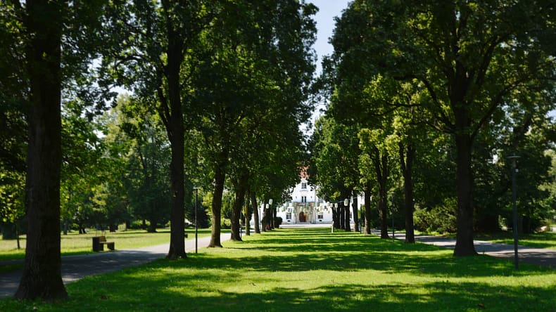 Mestni park Murska Sobota - dediščina preteklosti, prostor prihodnosti