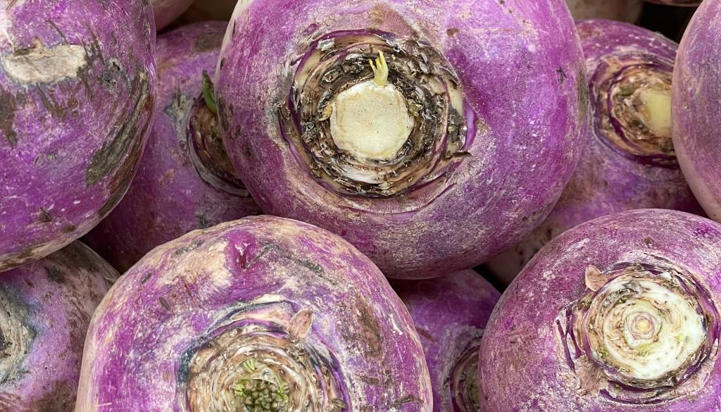 Začenja se sezona kisle repe, takšno je trenutno stanje z zalogo in cenami po trgovinah