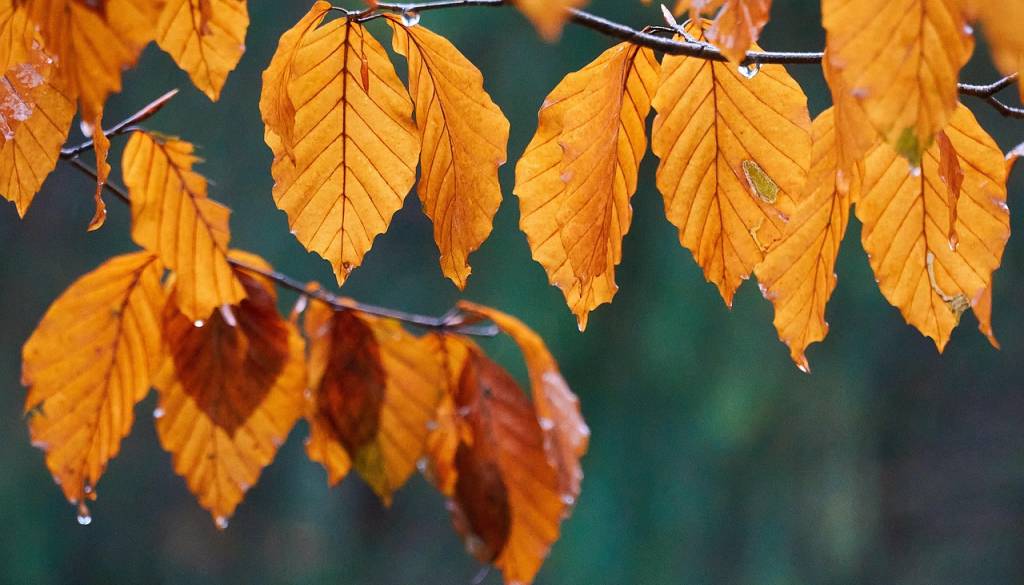Naše kraje prešla hladna fronta z močni nalivi in sunki vetra