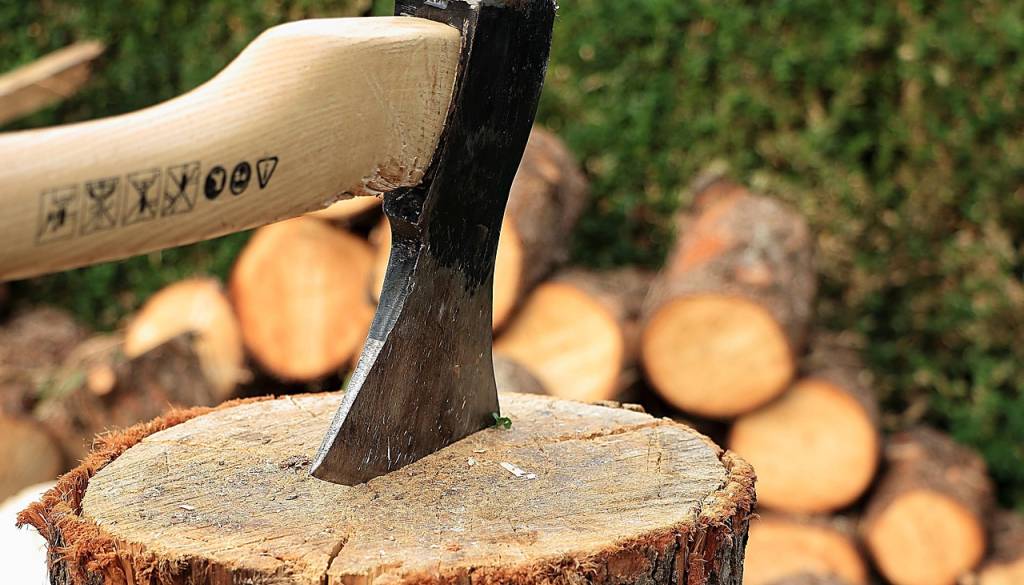 V Zalogu 44-letnik umrl med podiranjem smreke