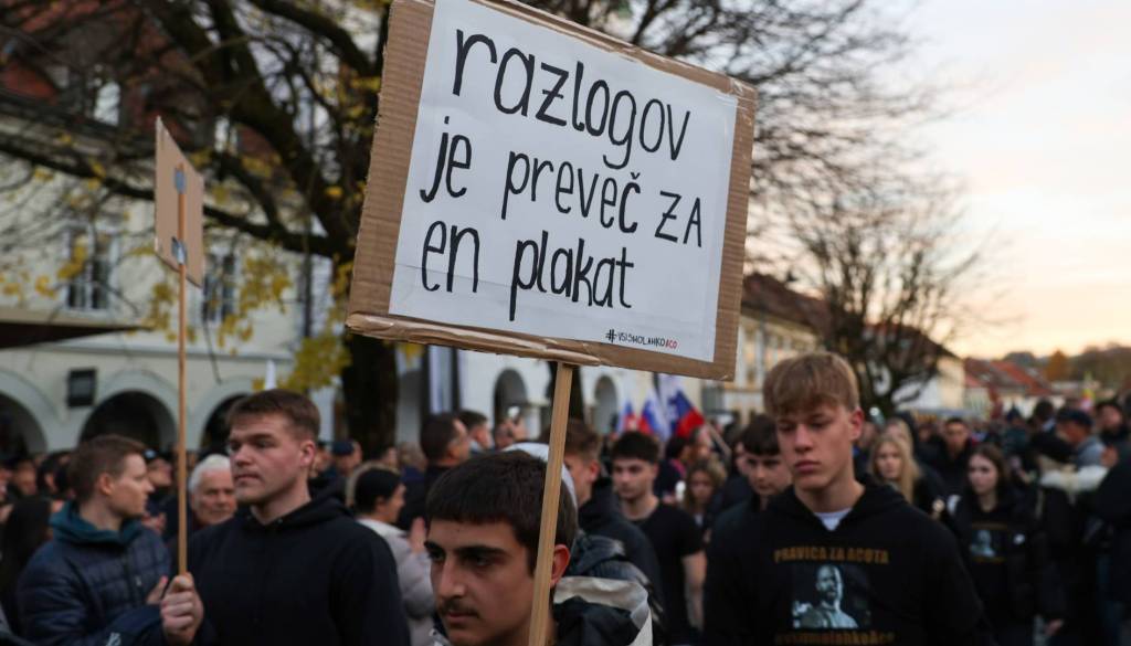 Protestniki spremljajo razpravo, novomeški župan Macedoni zahteva jasne posledice za kršitve