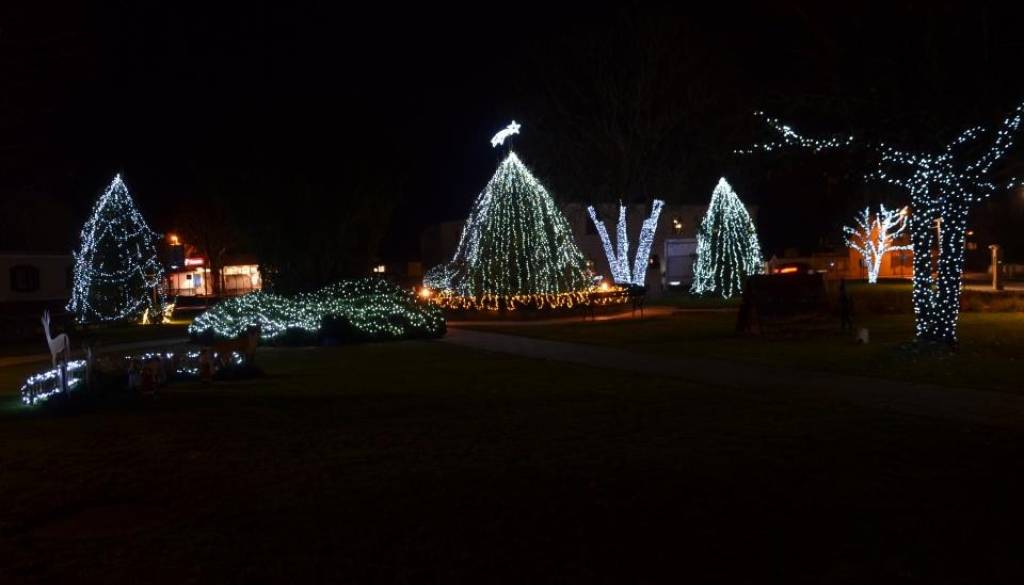 Občina išče smreko za praznično okrasitev parka