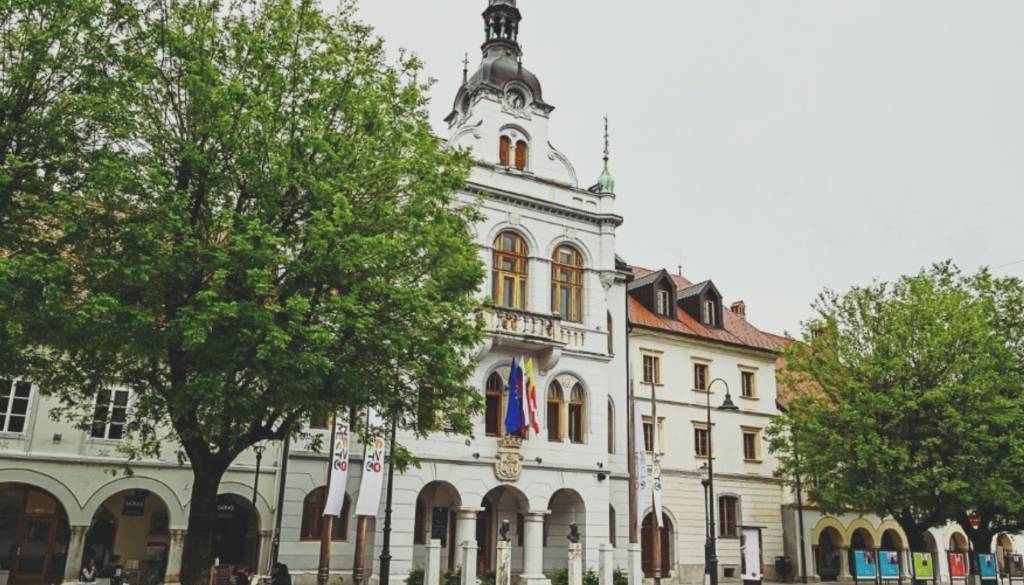V Novem mestu izredna seja občinskega sveta o varnostnih razmerah v regiji, pred rotovžem protestni shod