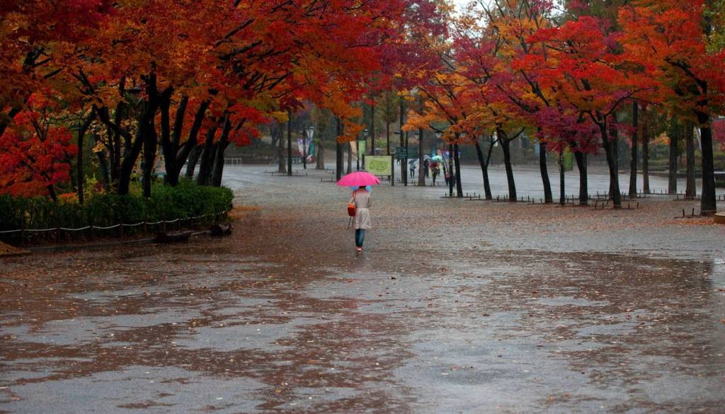 Evropo v začetku novembra čaka vremenski preobrat, možne tudi poplave