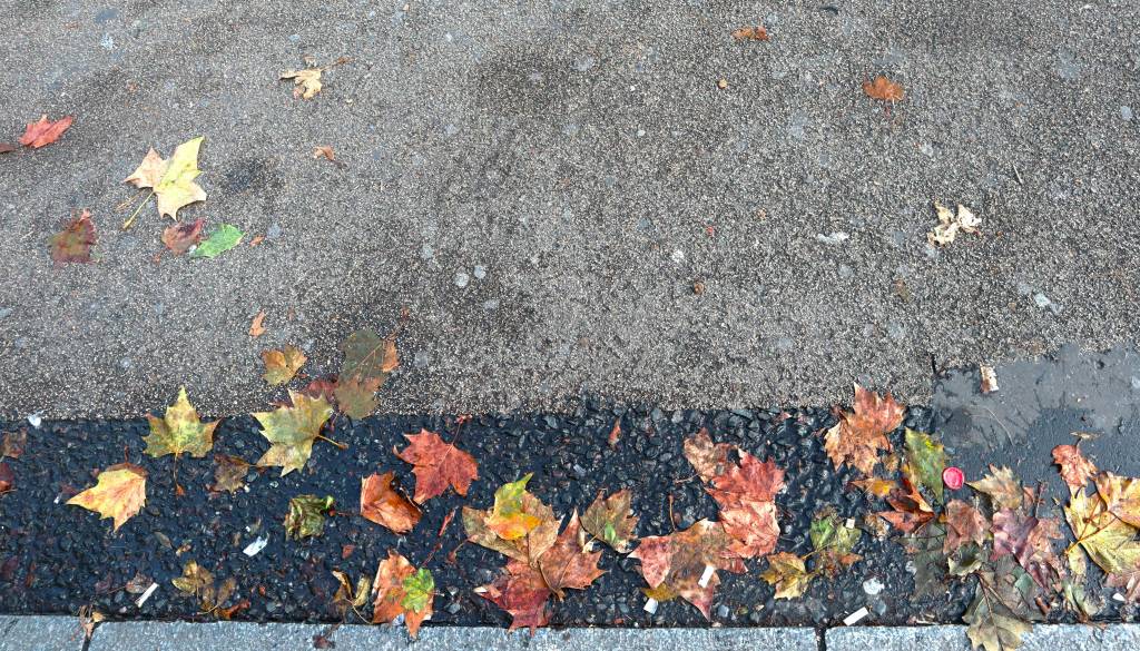 V Savskem naselju si želijo pogostejšega čiščenja javnih površin, župan jim je predlagal organizacijo čistilne akcije