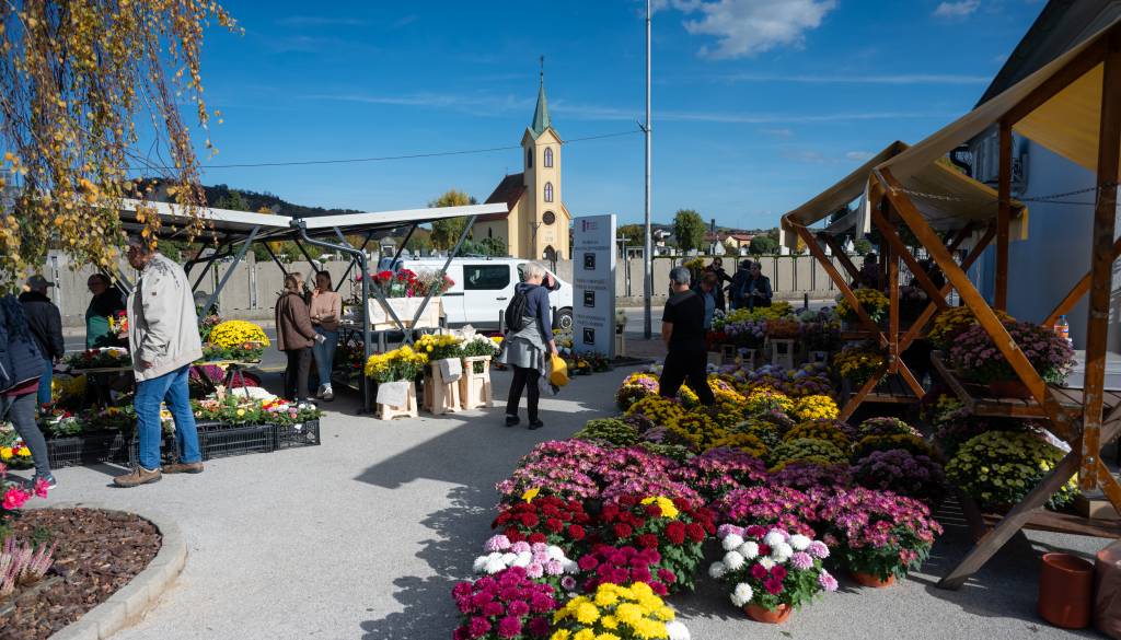 ANKETA: Koliko ste pripravljeni odšteti za nagrobno cvetje?