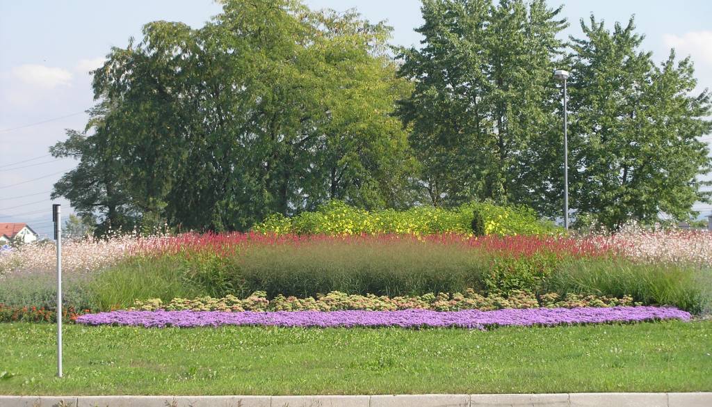 Ga je Mestna občina Ljubljana pokronala pri zasaditvi krožišča pri Plečnikovih Žalah?