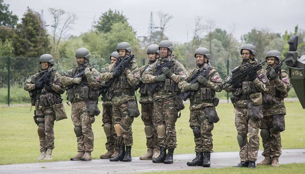 Vojska na pomoč policiji?