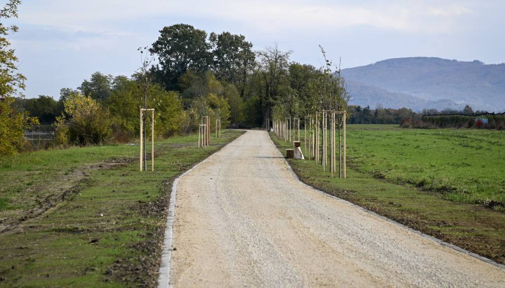 Večnamenska pot ob Savi v Krškem dobiva novo podobo