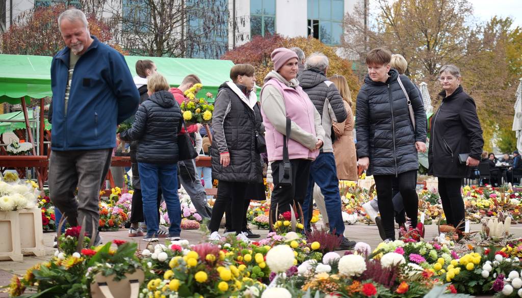 FOTO in VIDEO: Trg kulture preplavili cvetlični aranžmaji 