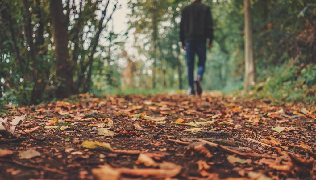 Pred nami vremenska sprememba: vikend bo oblačen, ponekod tudi deževen