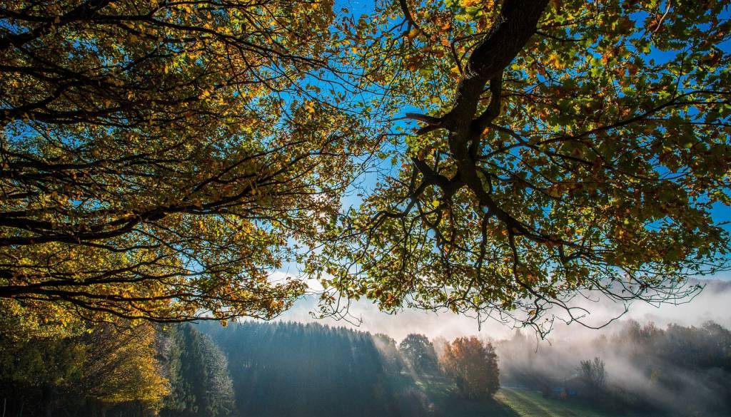 Topel oktober se poslavlja v jesenskem slogu , prihajajo oblaki, veter in ohladitev