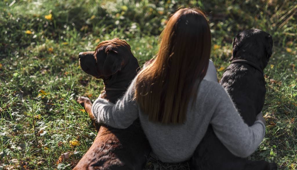 Spite s svojim hišnim ljubljenčkom? Strokovnjaki opozarjajo na skrite zdravstvene tveganje
