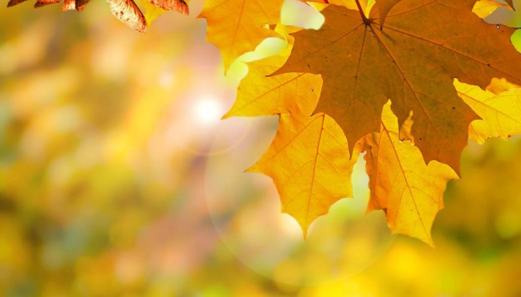 Danes bo prijetno toplo, v noči na ponedeljek napovedane nevihte