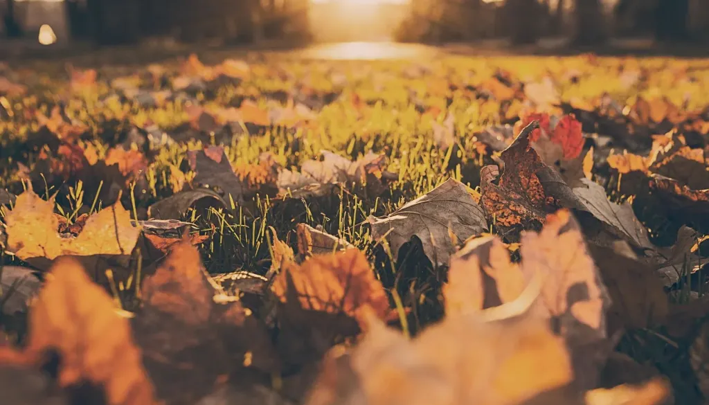 Pred nami prijetno topel dan, v noči na ponedeljek napovedane nevihte