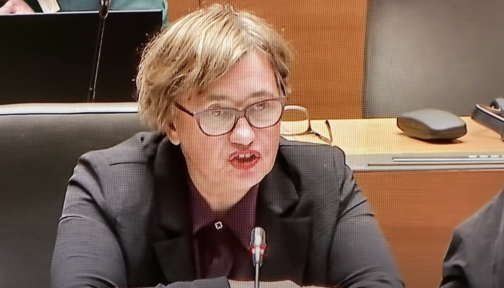 Izjava poslanke Levice glede smrti Aleša Šutarja: »Če nekoga udariš in ta nerodno pade je to nenaklepni uboj«