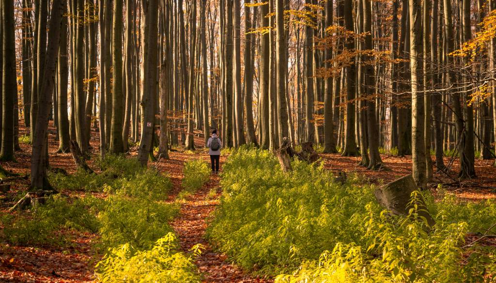 Retrogradni Jupiter prinaša presenetljive preobrate – vračajo se stare zgodbe in ljudje
