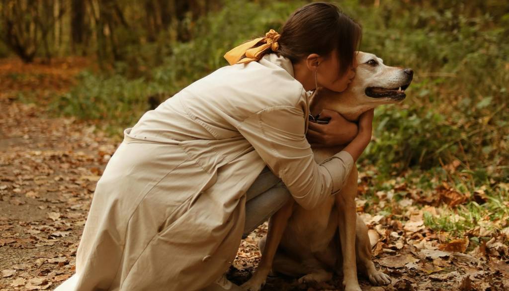 Janković: Denar ni problem, so pa lastniki zemljišč