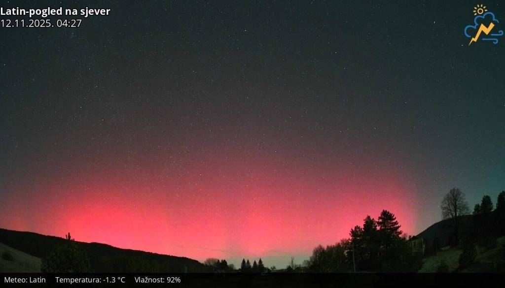 Severni sij že viden v Sloveniji in na Hrvaškem