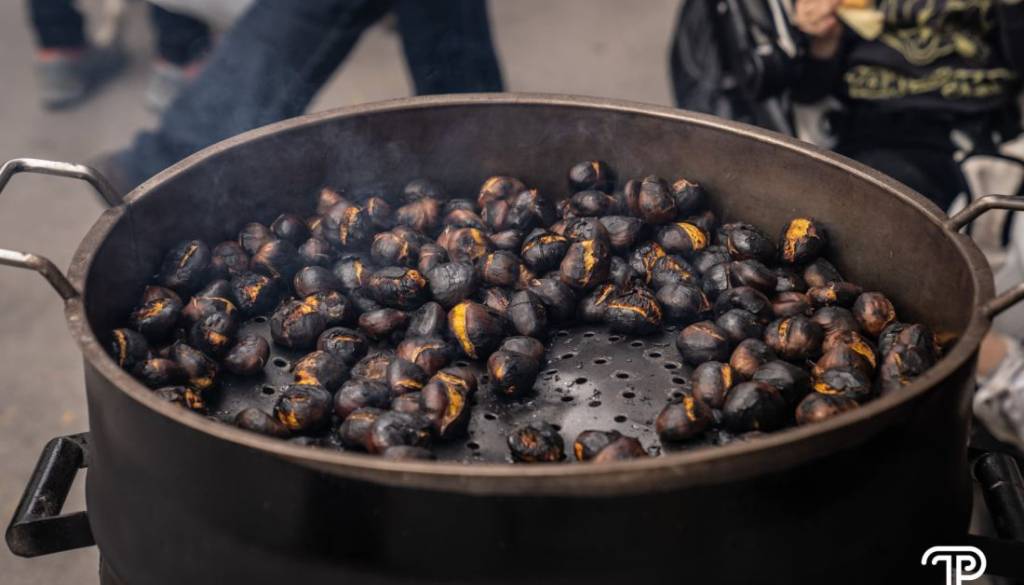 Kaj lahko glede gnilega kostanja naredi ljubljanski župan Zoran Janković?
