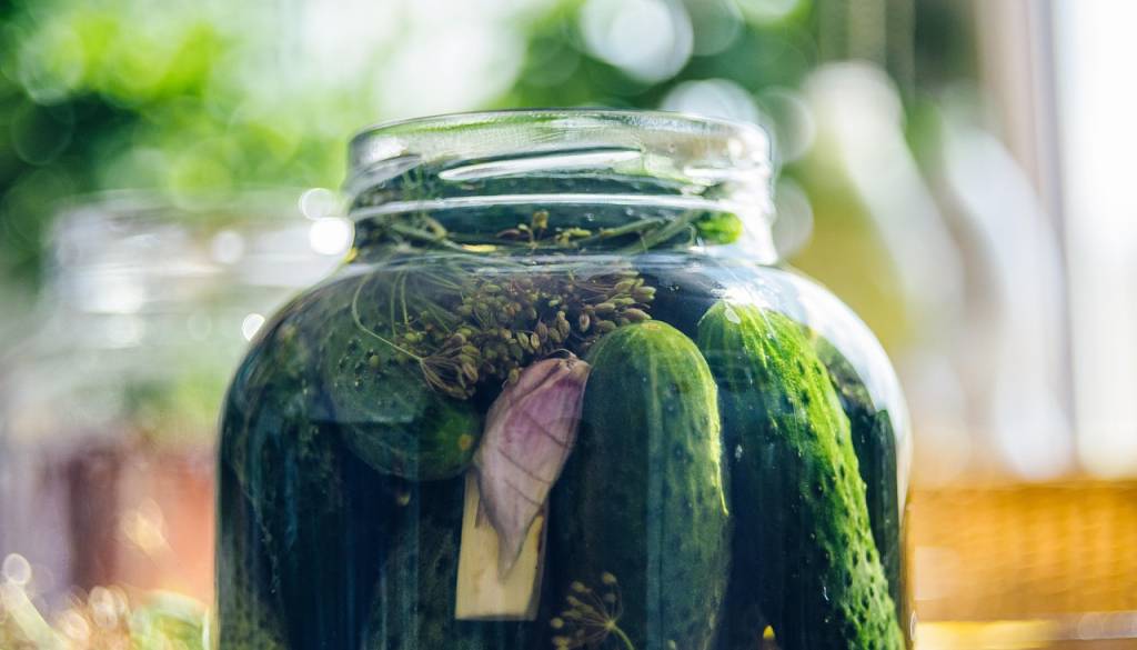 Panika zaradi kumaric? UVHVVR razkrila resnico o prisotnosti paracetamola v vloženi zelenjavi!