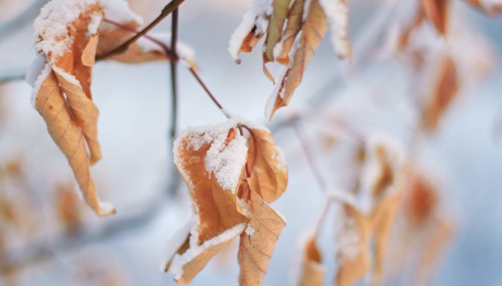 Prihaja nestanoviten začetek tedna, kaj razkrivajo vremenoslovci?